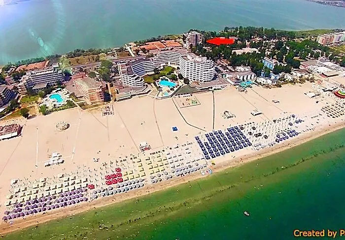 Coral Patrick Summerland * 马马亚