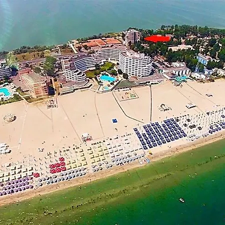 Coral Patrick Summerland * Mamaia